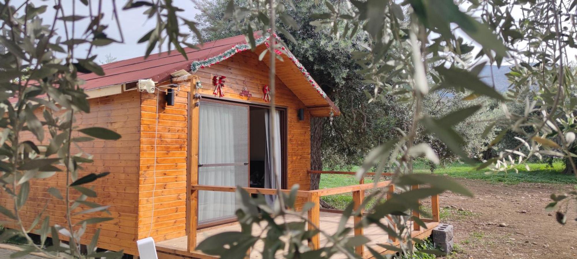 קיירניה Suluca Homes מראה חיצוני תמונה