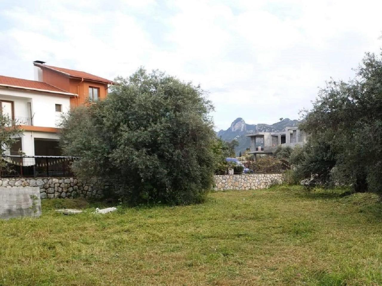 קיירניה Suluca Homes מראה חיצוני תמונה
