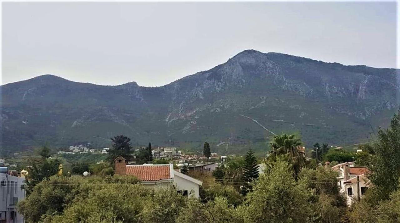 קיירניה Suluca Homes מראה חיצוני תמונה