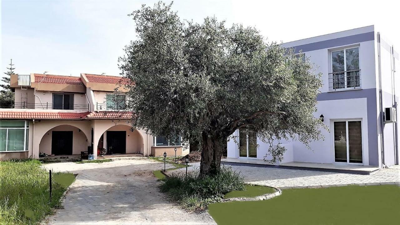 קיירניה Suluca Homes מראה חיצוני תמונה