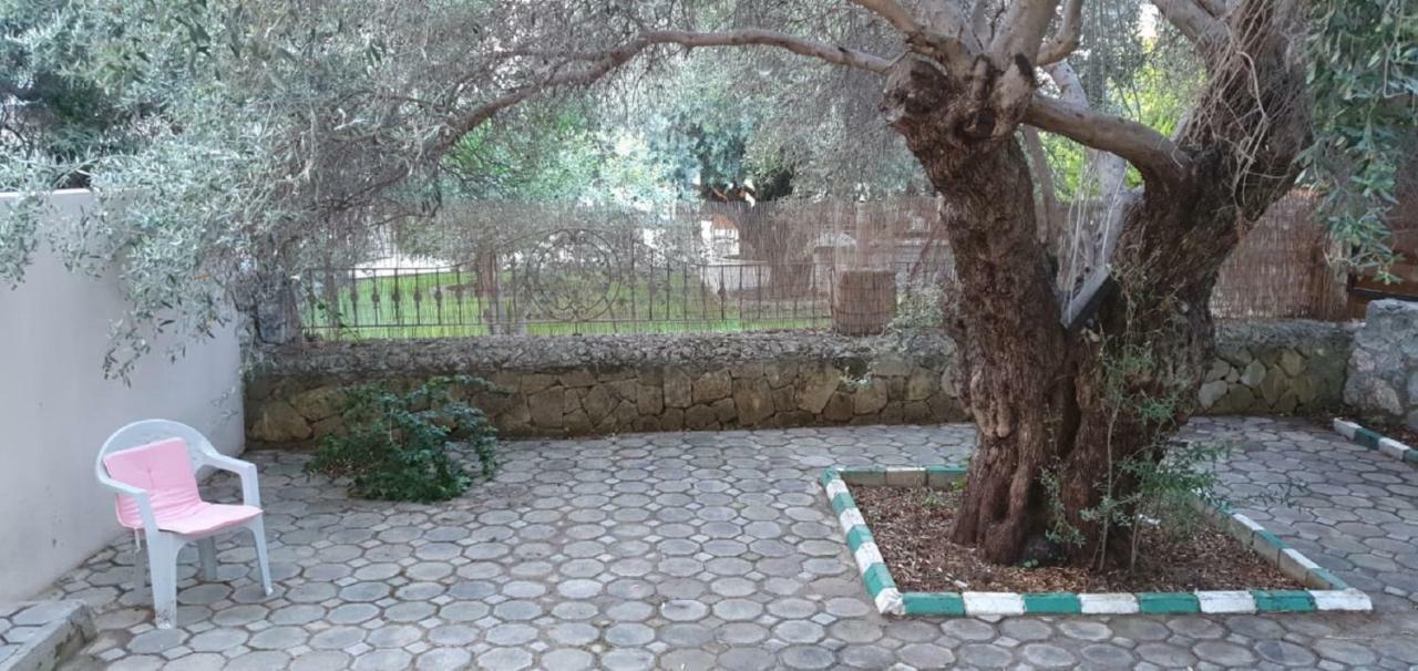 קיירניה Suluca Homes מראה חיצוני תמונה